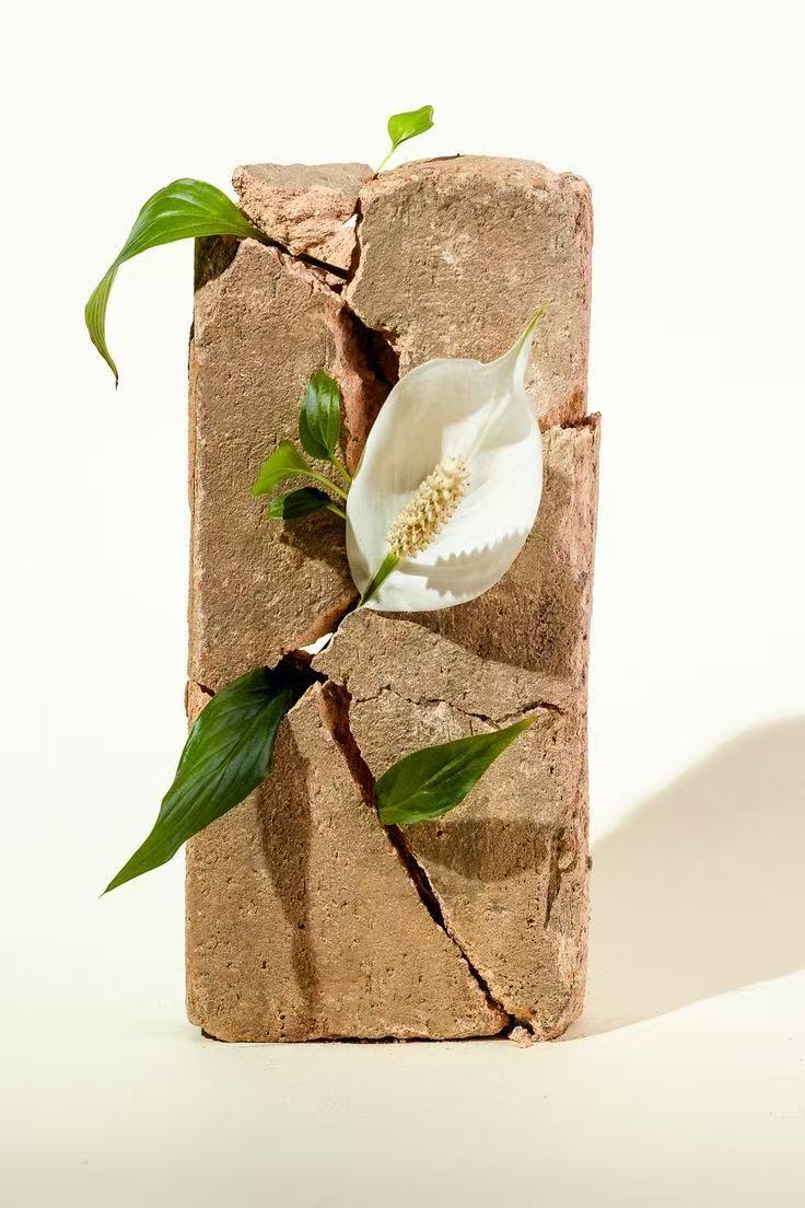 Sustainability